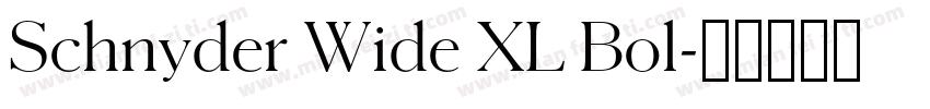 Schnyder Wide XL Bol字体转换
